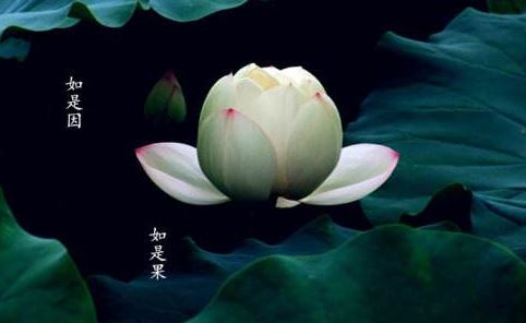 堕胎后怎么还阴债？阴债指的是什么呢？