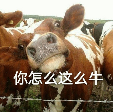 新农合又涨价了！农村父母只有医保，如何买医疗/养老商业保险？真实案例分享