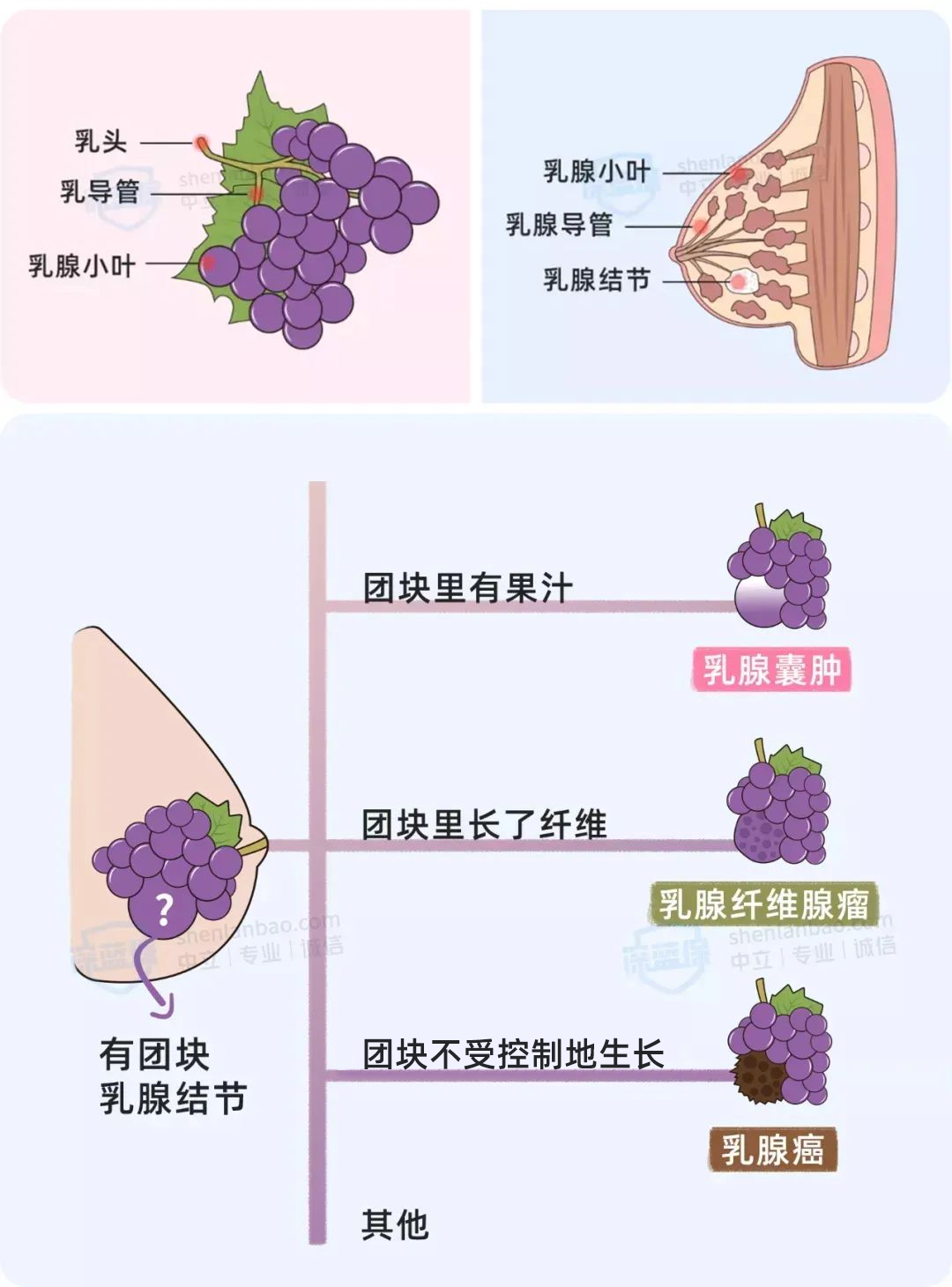 查出乳腺结节，怎么买保险？这些产品超宽松