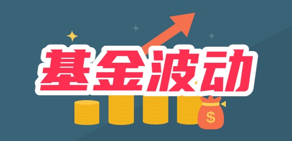 基金买波动小还是买波动大？