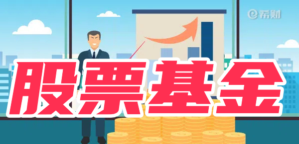 股票基金有哪些特点？如何购买？