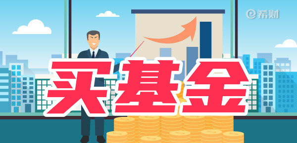 哪些基金适合新手投资？如何购买？