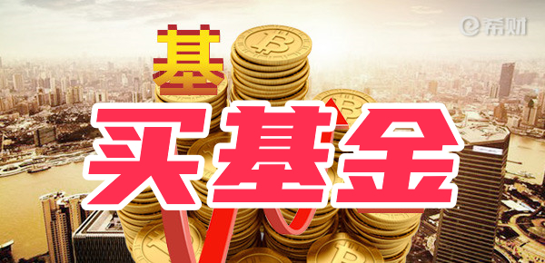买基金有哪些风险？对新手有哪些建议？