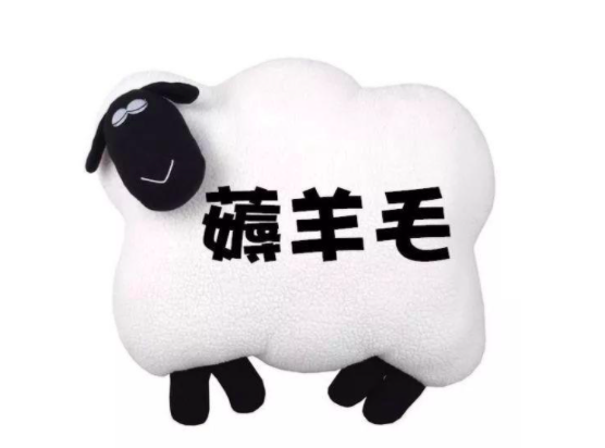 为什么有这么多人是羊毛党？